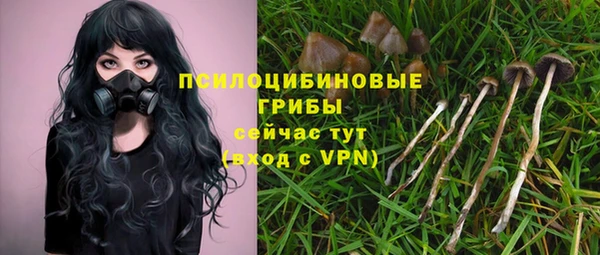 ALPHA-PVP Осташков