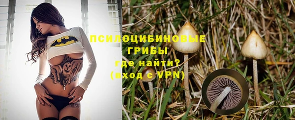 дмт Остров