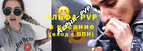 сатива Нягань